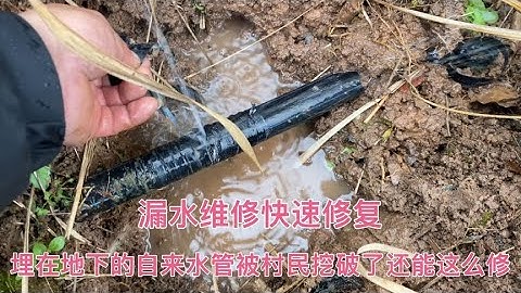 农村居民家后山埋的自来水管漏水了，没想到罪魁祸首竟然是“它”