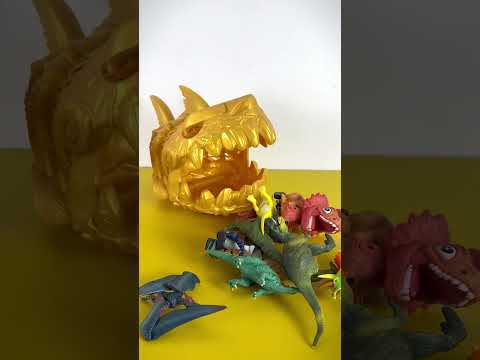 ASMR Satisfying Unboxing