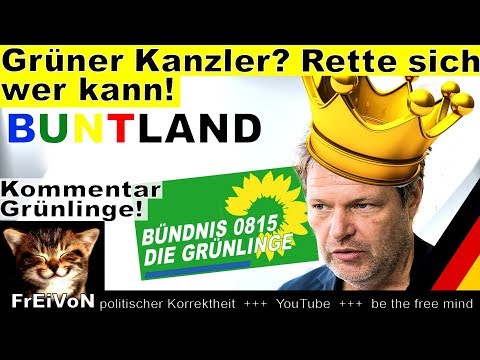 Grüner Kanzler? Rette sich wer kann! * Meuthen und der Grüne Habeck
