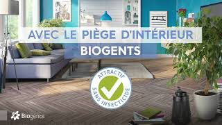 Piège à moustiques d'intérieur BG-Home contre les moustiques et autres nuisibles volants Piège à moustiques d'intérieur BG-Home contre les moustiques et autres nuisibles volants