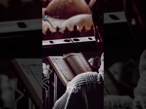 سلطان التلاوة السيد سعيد حالات واتس اب قرآن كريم قران كريم السيد سعيد عبدالباسط عبدالصمد