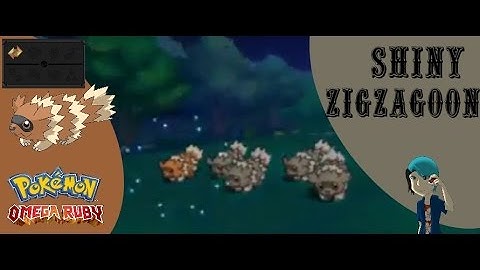 Shiny Zigzagoon DURING 24 HOUR SHINY BADGE QUEST STREAM