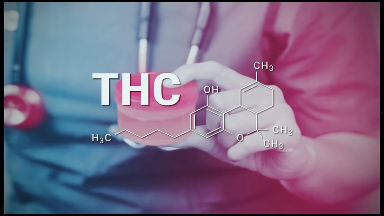 COMO AYUDAR A ELIMINAR EL THC DEL CUERPO | BEBIDAS DETOX