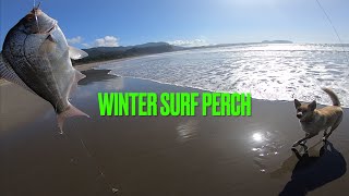 SURF PERCH FISHING (My new go to rig)