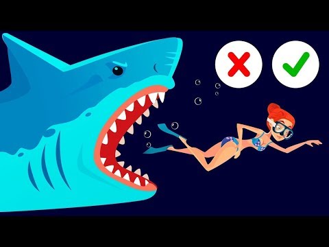 Видео: 4 шага к преодолению страха перед акулами