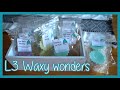 L3 Waxy Wonders Pre-order