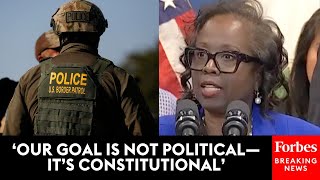 Illinois Accountability Official Vows To Uphold Democratic Values In ICE Record Keeping