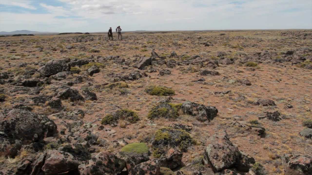 Twilight of the Hooded Grebe