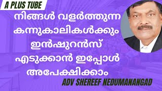 കന്നുകാലികൾക്കും ഇൻഷുറൻസ്|  സർക്കാർ പദ്ധതി | A plus Tube|Malayalam| AdvshereefNedumangad