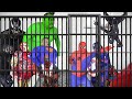 Superheroes escape from prison