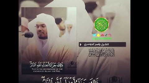 الشيخ: ياسر الدوسري، سورة فصلت، آية (٢٨).