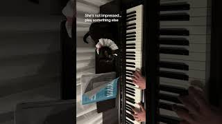 Day 21: Not her vibe 😭🐈‍⬛🎹 #cat #cat2026 #funny #piano