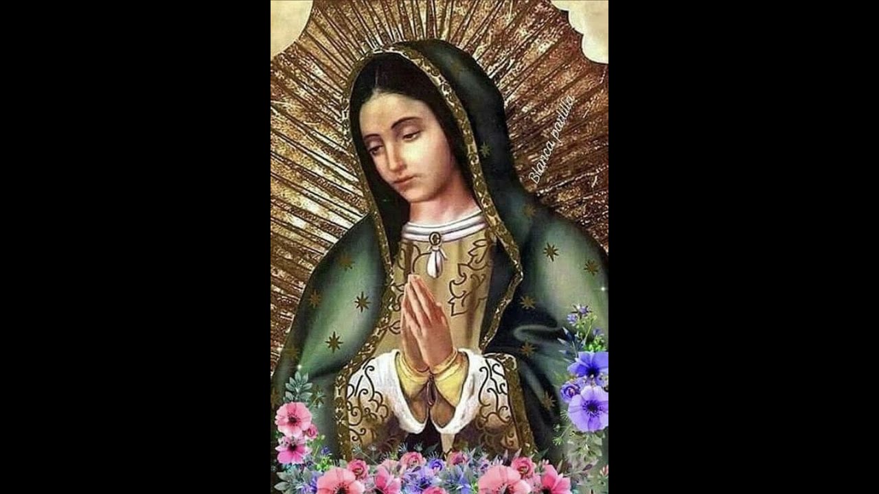 SANTO ROSARIO Y REFLEXION DEL EVANGELIO 3 DE JULIO 2022 GRUPO