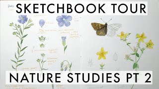 Sketchbook Tour Fall '21: Detailed nature studies (plants, birds, bats) | part 2