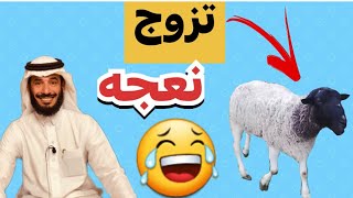 | 191 | زعلان من زوجته راح تزوج نعجه جميله | قصص حقيقية عجيبه