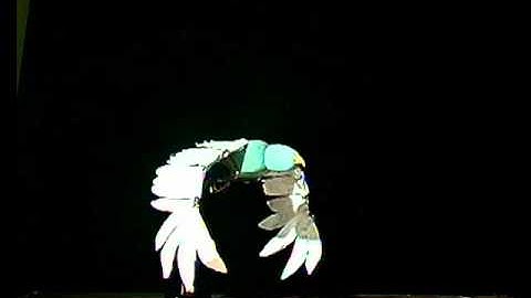 Stop Motion Bird Animation