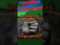 🦍 Do Gorillas Have Fingerprints? #gorilla #nature #shorts