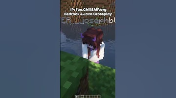 Found a Custom Items Bug on our Public SMP #shorts