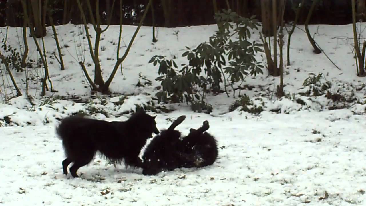 Rani and Luca playing