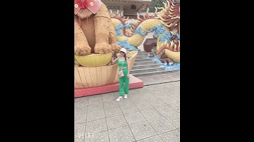 Tiếng  hát CS Mai Tiến Đạt❤️❤️