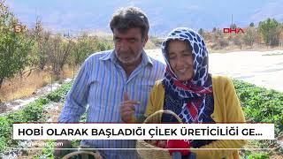 Hobi Olarak Başladığı Çilek Üreticiliği Geçim Kaynakları Oldu Video Eklendi