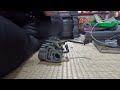 アドレスv100 スロットルバルブ移植😺 ポンコツ整備😺✨️