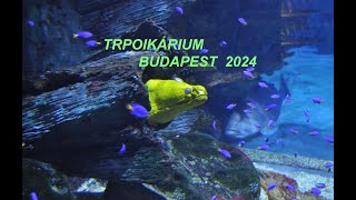 TROPIKÁRIUM, BUDAPEST 2024