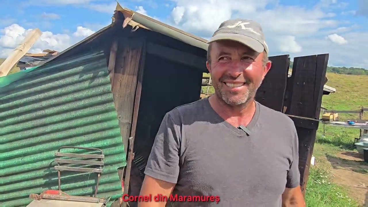 Cinci câini nu fac față unui șacal, relatează proprietarul de oi, Budeșteanu