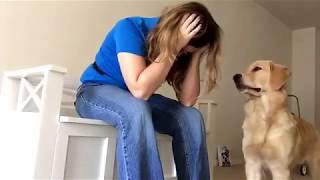 Crying Fit Interruption Service Dog Training