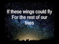 Birdy  wings acoustic lyrics