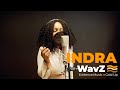 Indra  tears they fall  wavz evidence music  gold up