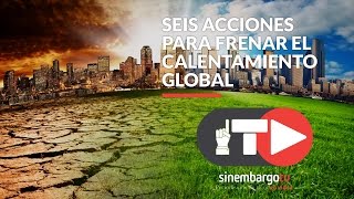 Seis acciones para frenar el calentamiento global