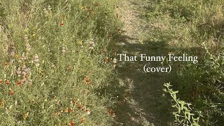 That funny feeling - Phoebe Bridgers (By Bo Burnham) || Shannon Hoffman