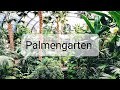 Лучший ботанический сад Европы. Der Palmengarten - Frankfurts botanische Artenreiche.