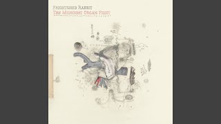 Video thumbnail of "Frightened Rabbit - Floating in the Forth"