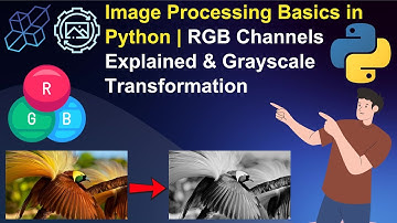 Image Processing Basics in Python | RGB Channels Explained & Grayscale Transformation