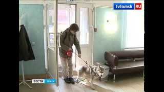 Владельцев незарегистрированных собак ждут штрафы, 2014 г. Владельцев незарегистрированных собак ждут штрафы, 2014 г.