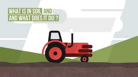 Soils are Alive Part 1: What is in soil and what does it do?