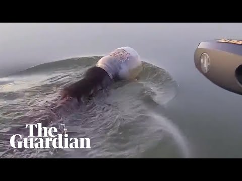 Family rescue bear found swimming with a plastic jar on its head