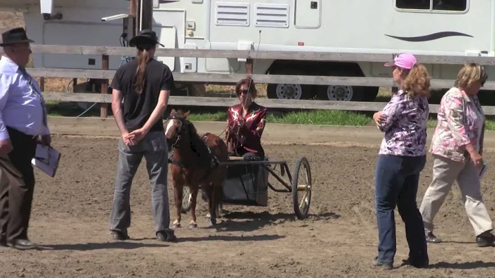 Danielle Duffy - AMHR Country Pleasure Driving Class