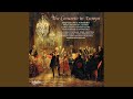 Miniature de la vidéo de la chanson Flute Concerto In C Major: Larghetto