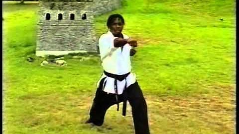 Daniel Sterling teaching the Butterfly Twist Round Kick Extreme Trick