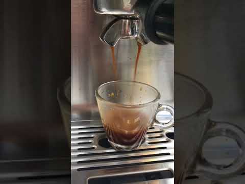 no-water--breville-870xl-test-1665