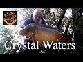 *** Carp Fishing *** CRYSTAL WATERS  "Part 1"   Carpheadbangers