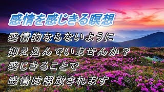 【朗読　癒しの瞑想】　感情を感じきることで癒されます