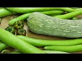 Zucca Lunga dello scorso anno | ottimo livello di conservazione nel tempo in modo naturale