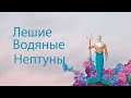 Водяные, нептуны,  лешие -кто это, или что?