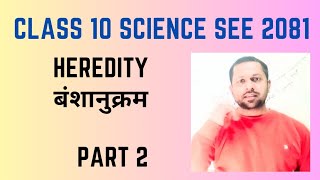 screenshot of the youtube video