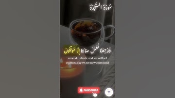 اكتب شيء تؤجر عليه 🤍 🤲🏻 #quran #اسلام #قرآن #راحة_نفسية #سورة_السجدة