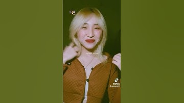Độc lạ nhạc mới phát hiện một bài hát về Thái Lan...😊